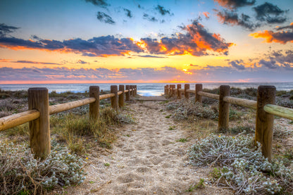 Road To Beach Fench in Shore Sunset Photograph Print 100% Australian Made