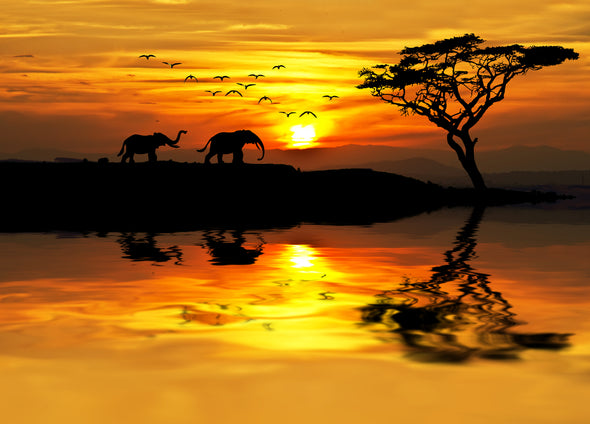 Elephants Walking on a River Bank Sunset Print 100% Australian Made