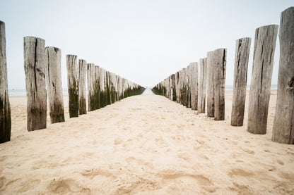 Sand Footpath Through Dunes at the Beach Photograph Print 100% Australian Made