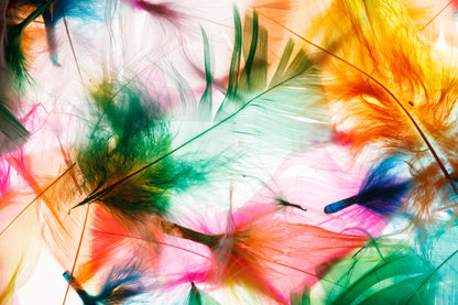 Colourful Feather Design Print 100% Australian Made