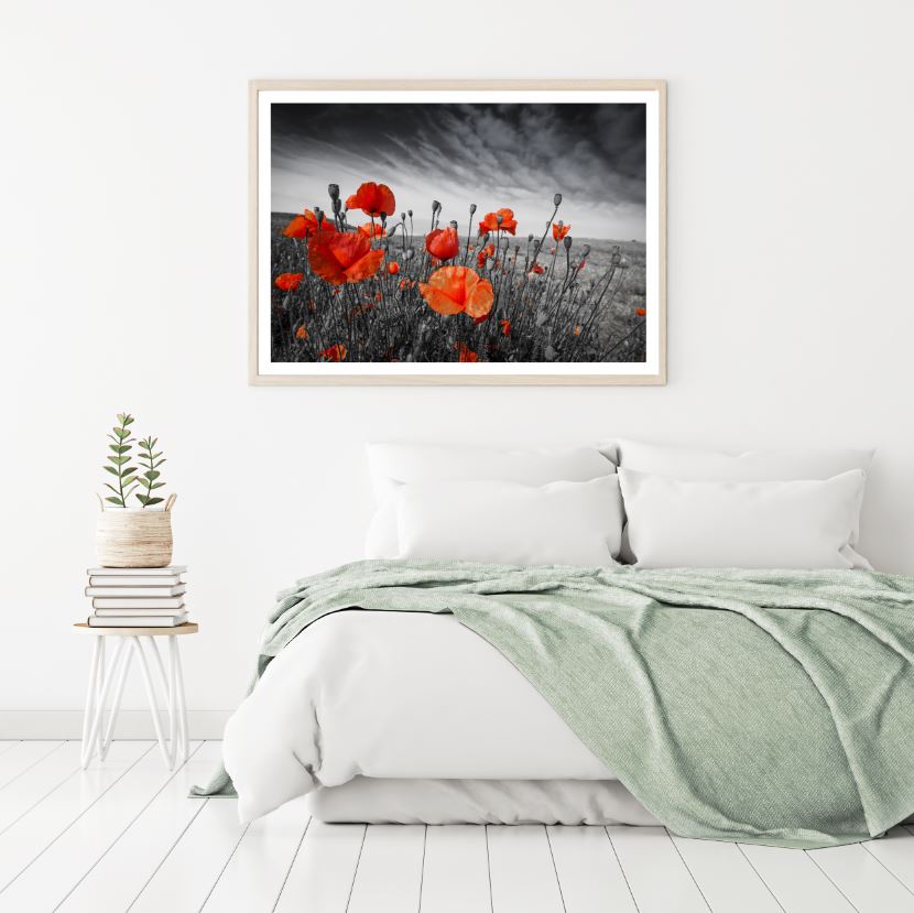 Orange Tulip Flower Field B&W Photograph Home Decor Premium Quality Poster Print Choose Your Sizes