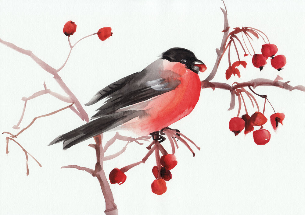 Bird Eating Cherries Painting Print 100% Australian Made