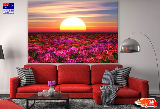 Sunset View Over Flower Field Print 100% Australian Made