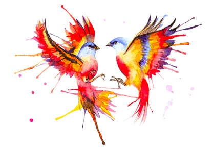 Colorful Birds Watercolor Paint Print 100% Australian Made