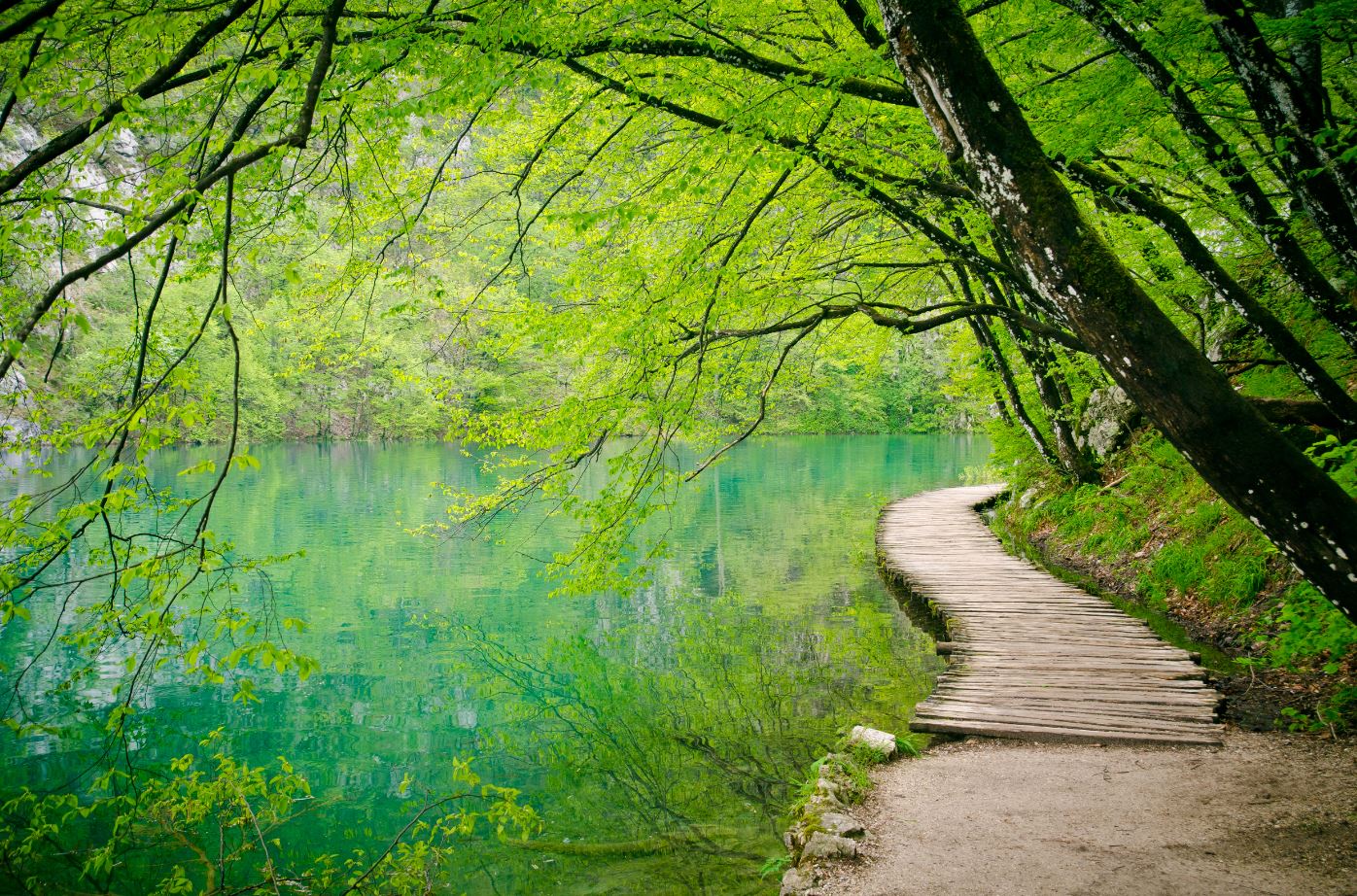 Wooden Pier Along Lake Photograph Home Decor Premium Quality Poster Print Choose Your Sizes