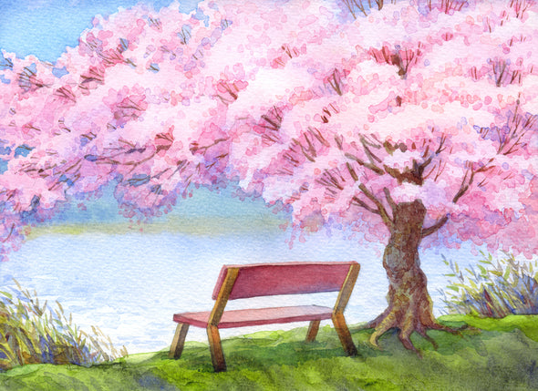 Bench Under a Cherry Blossom Tree Near A River Painting Print 100% Australian Made