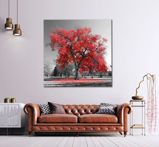 Square Canvas B&W Trees & Red Leaves High Quality Print 100% Australian Made