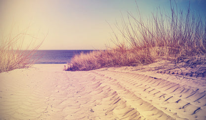 Sand Foot Path to Sea Photograph Home Decor Premium Quality Poster Print Choose Your Sizes