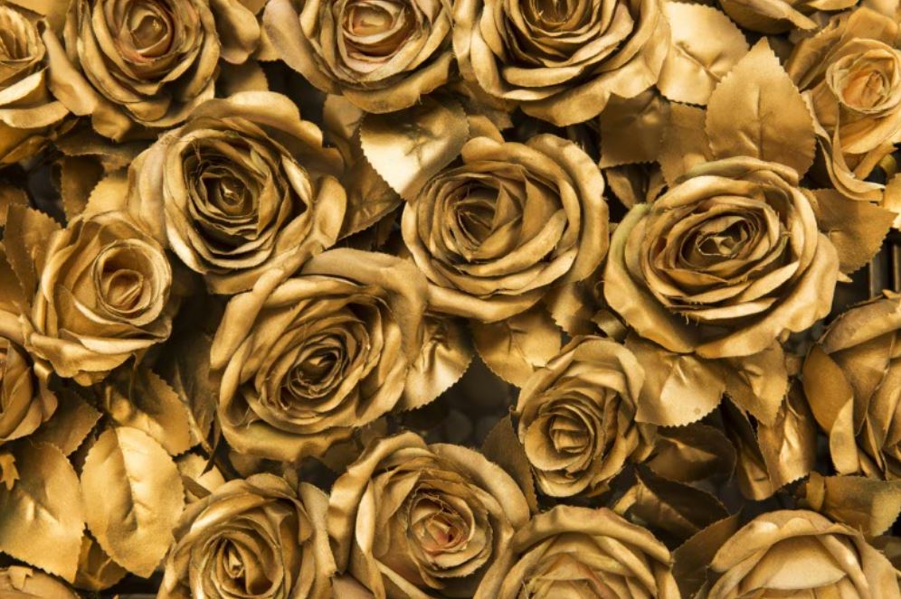 Golden Roses Bunch Photograph Print 100% Australian Made