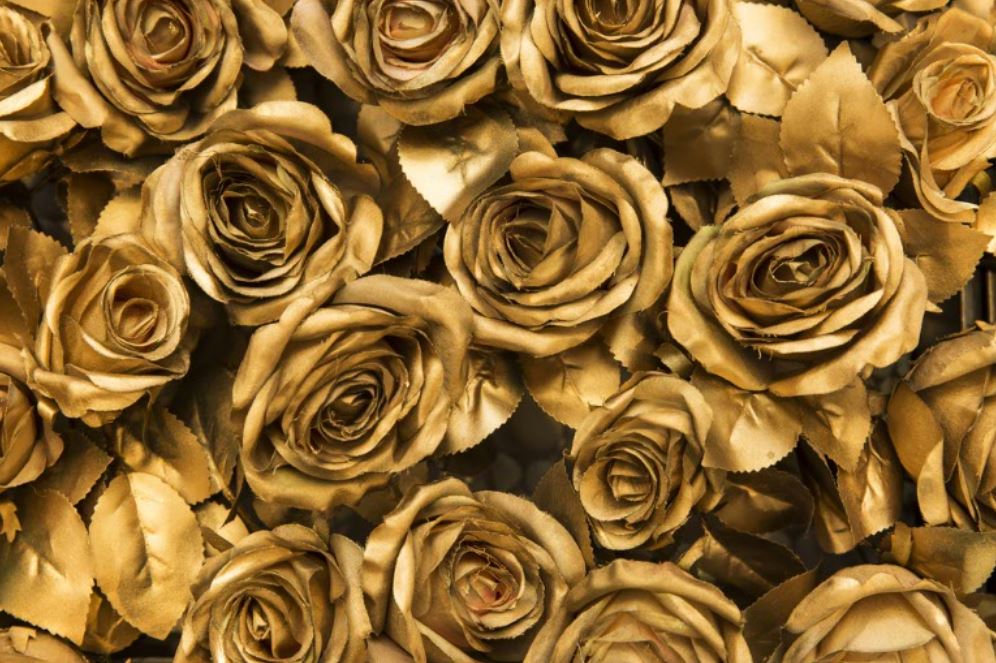 Wallpaper Murals Peel and Stick Removable Golden Roses Closeup Photograph High Quality