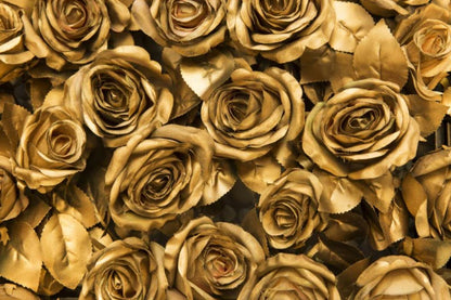 Wallpaper Murals Peel and Stick Removable Golden Roses Closeup Photograph High Quality