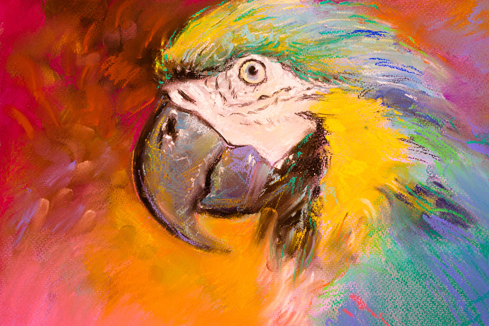 Macaw Bird Portrait Painting Print 100% Australian Made