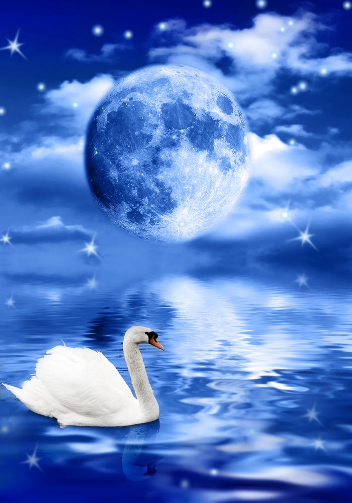 Moon Stars & Swan in Lake Photograph Print 100% Australian Made