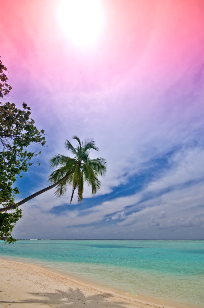 Stunning Beach with Trees Photograph Print 100% Australian Made