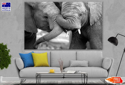 Baby Elephants Portrait B&W Photograph Print 100% Australian Made