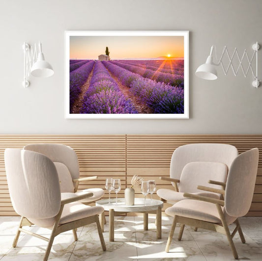 Lavender Field Scenery Photograph Home Decor Premium Quality Poster Print Choose Your Sizes