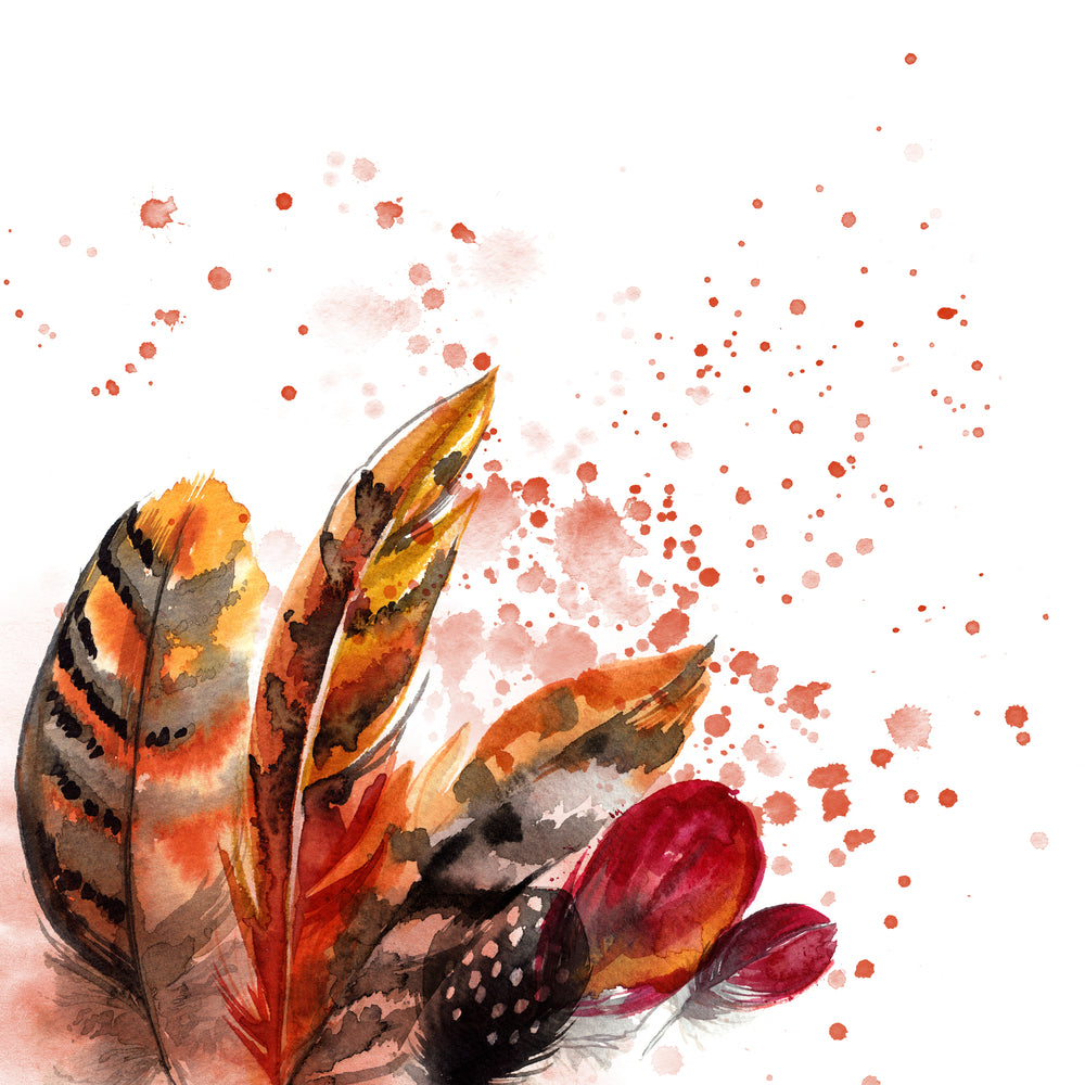 Square Canvas Colorful Feathers Watercolor Painting High Quality Print 100% Australian Made