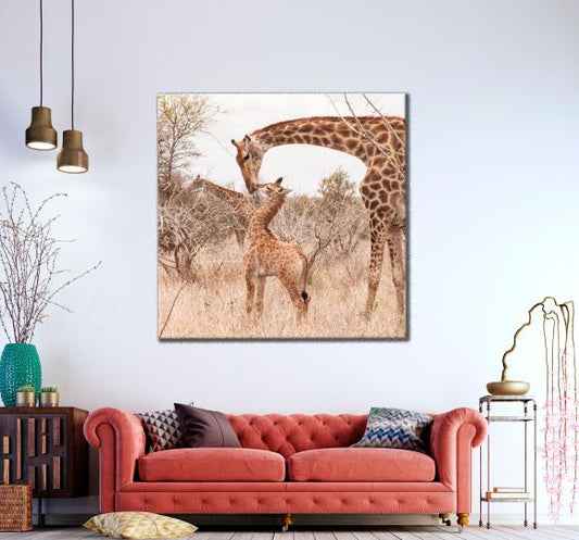 Square Canvas Giraffes in Forest Photograph High Quality Print 100% Australian Made