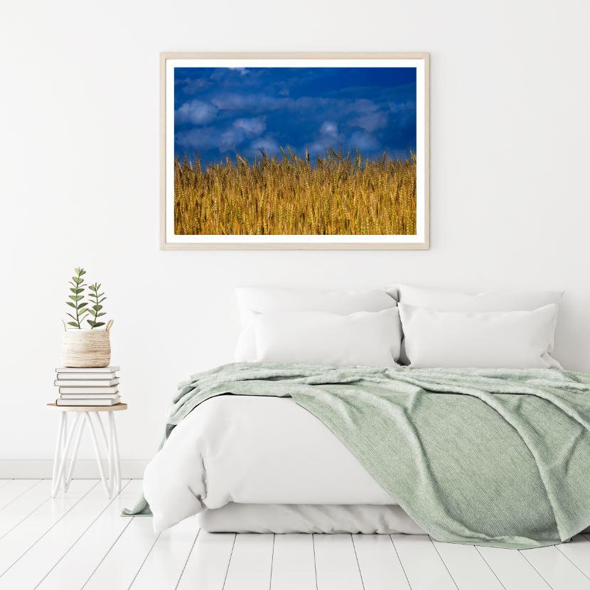 Wheat Field Closeup Photograph Home Decor Premium Quality Poster Print Choose Your Sizes