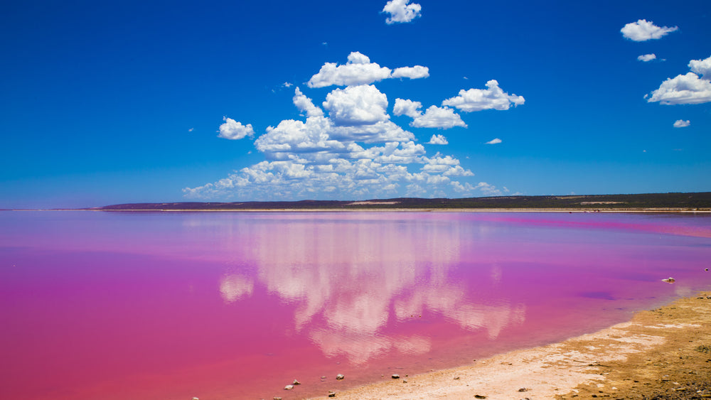 Pink Lake Australia Photograph Print 100% Australian Made