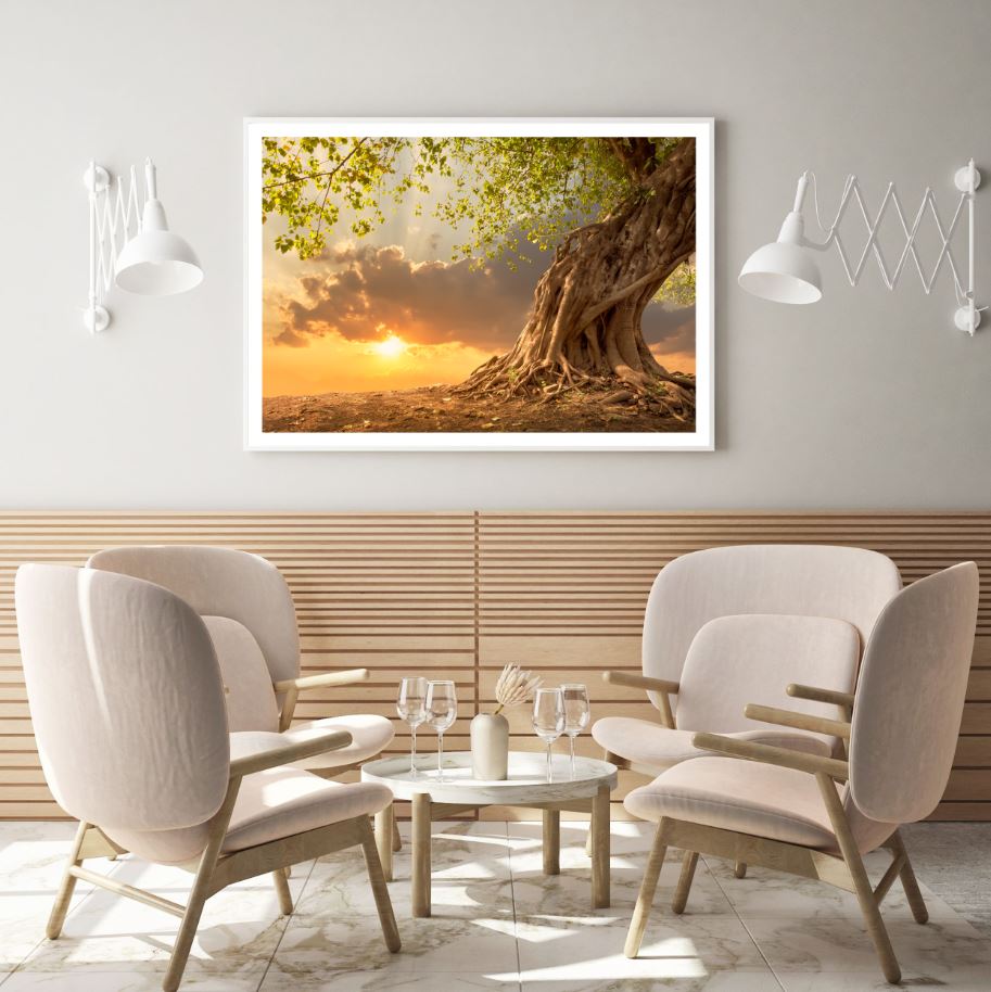 Big Tree & Sunset Scenery View Home Decor Premium Quality Poster Print Choose Your Sizes