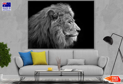 Lion Portrait B&W Photograph Print 100% Australian Made