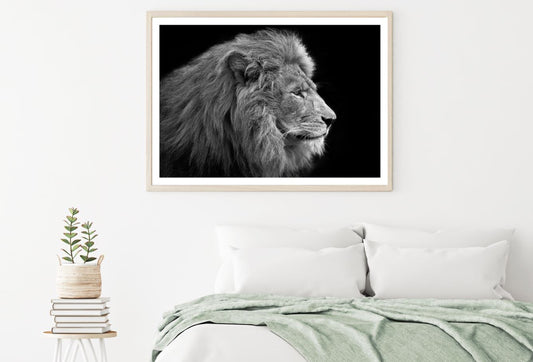 Lion Portrait B&W Photograph Home Decor Premium Quality Poster Print Choose Your Sizes