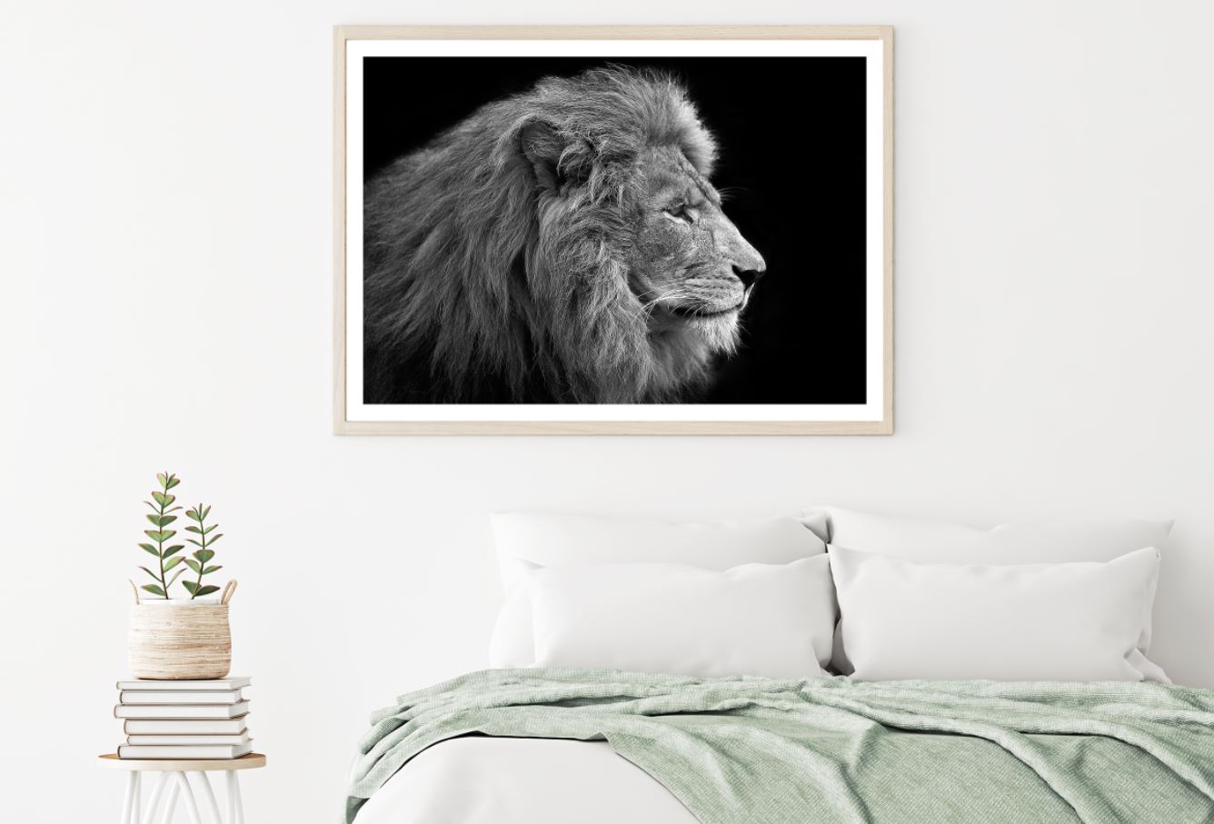 Lion Portrait B&W Photograph Home Decor Premium Quality Poster Print Choose Your Sizes