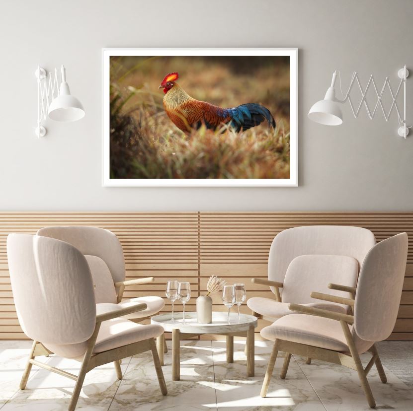 Rooster Closeup Photograph Home Decor Premium Quality Poster Print Choose Your Sizes