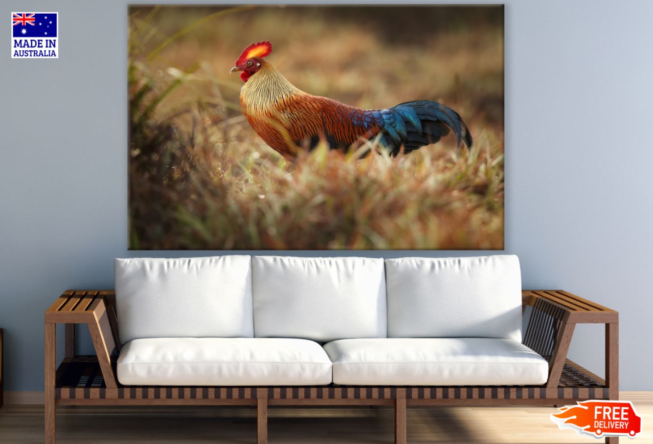 Rooster Photograph Print 100% Australian Made