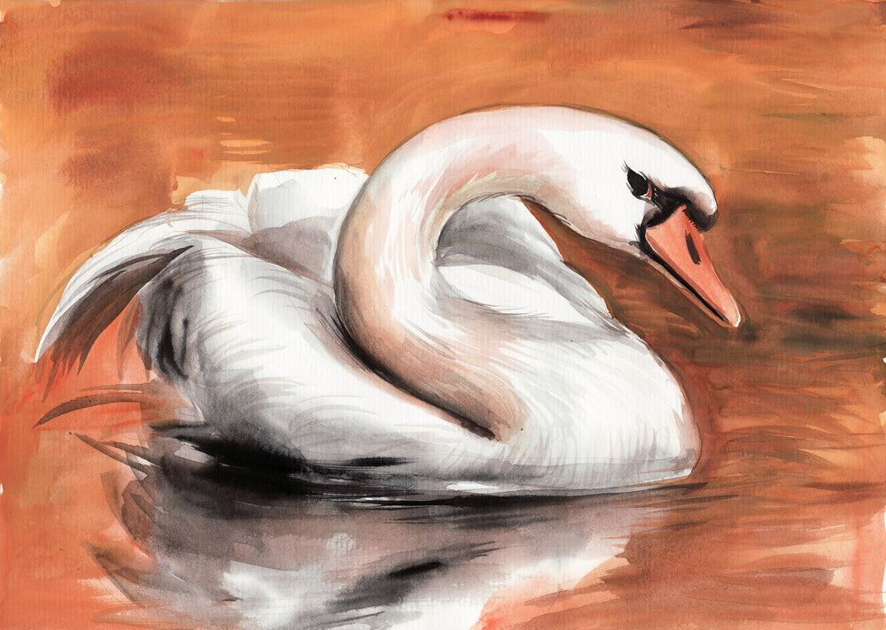 Swan In Water Painting Print 100% Australian Made