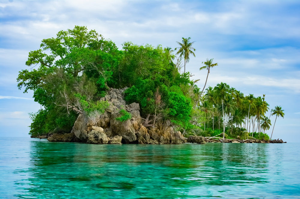 Island Full of Trees Photograph Print 100% Australian Made