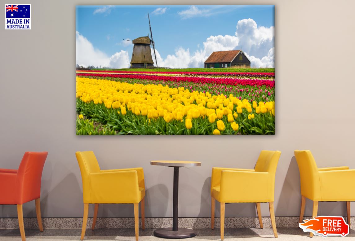 Flower Field & Wind Mills Photograph Print 100% Australian Made