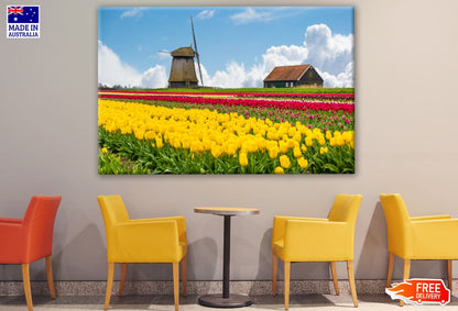 Flower Field & Wind Mills Photograph Print 100% Australian Made