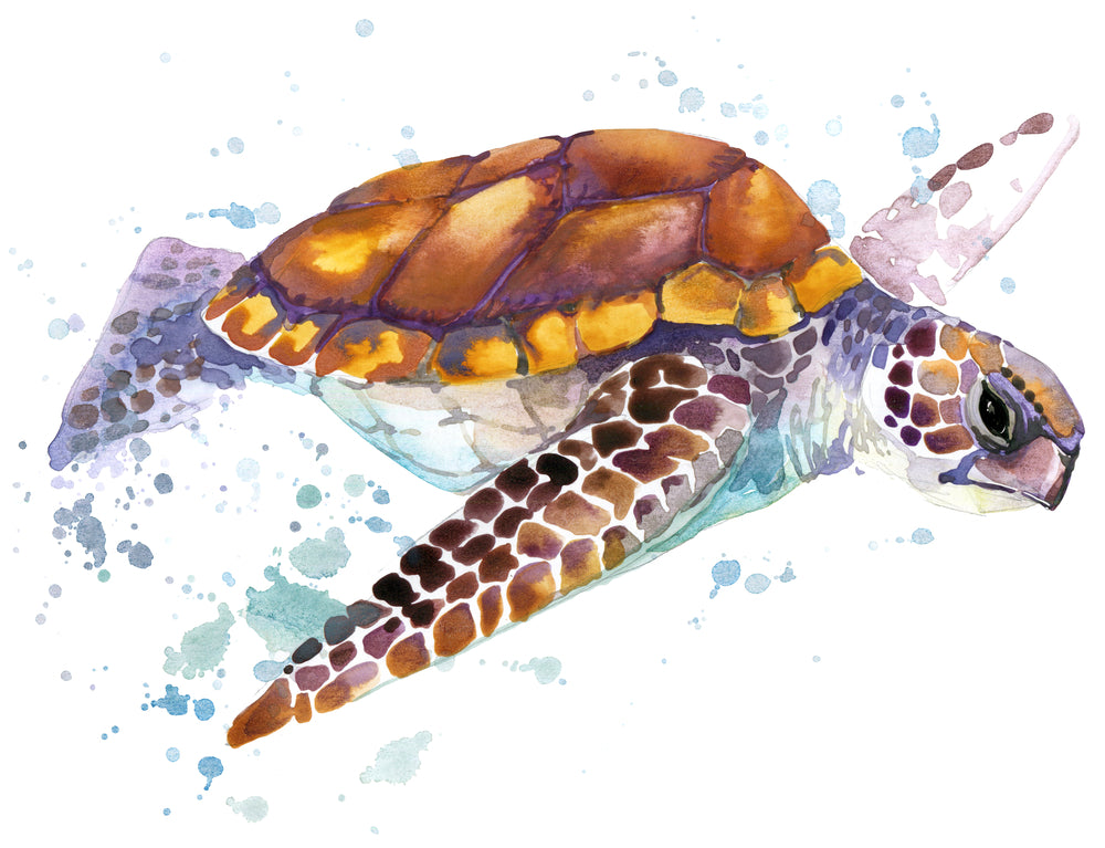 Sea Turtle Swimming Painting Print 100% Australian Made