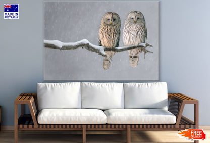 Owls on Tree Branch Photograph Print 100% Australian Made