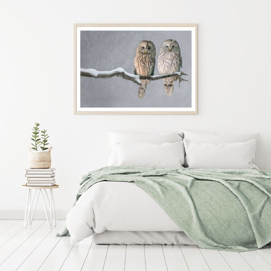 Owls On a Tree Photograph Home Decor Premium Quality Poster Print Choose Your Sizes