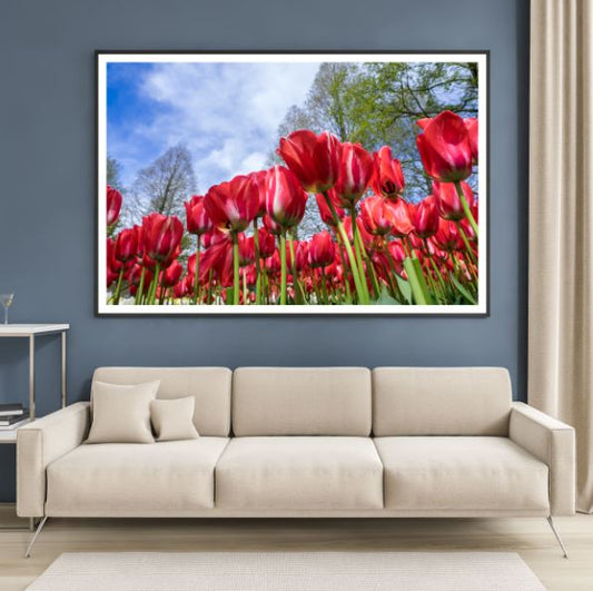 Red Tulip Flowers Photograph Home Decor Premium Quality Poster Print Choose Your Sizes