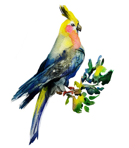 Yellow Macaw Bird Watercolour Painting Print 100% Australian Made