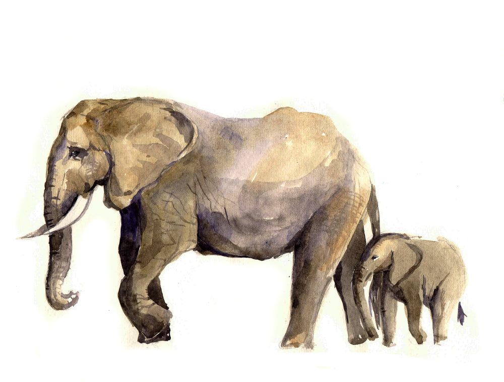 Elephants Watercolour Painting Print 100% Australian Made