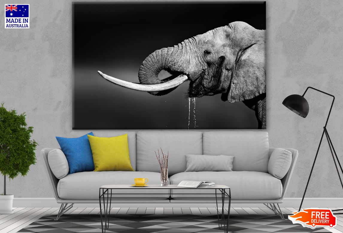 Elephant Portrait B&W Photograph Print 100% Australian Made