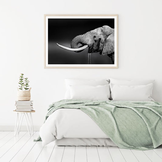 Elephant Portrait B&W Photograph Home Decor Premium Quality Poster Print Choose Your Sizes