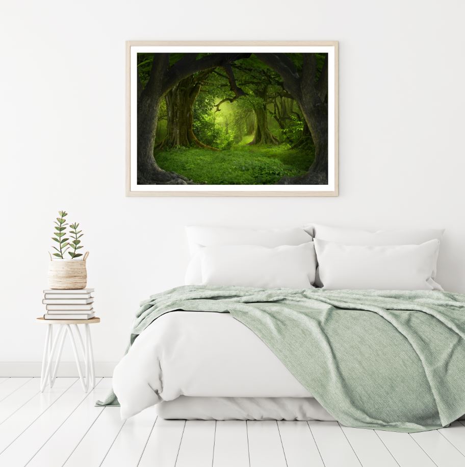 Deep Forets Scenery Photograph Home Decor Premium Quality Poster Print Choose Your Sizes