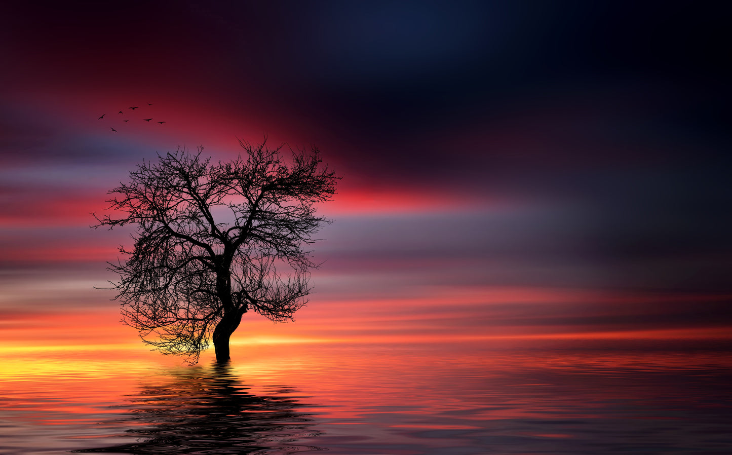 Lonely Tree with Reflection on Water Sunset Red Sky Photograph Print 100% Australian Made