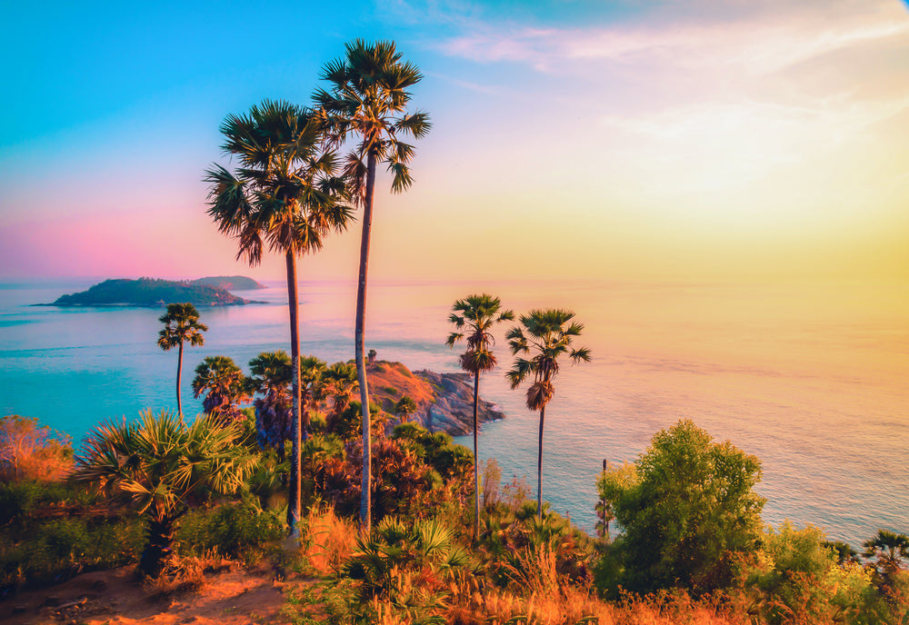 Trees & Beach Stunning View Sunset Photograph Print 100% Australian Made