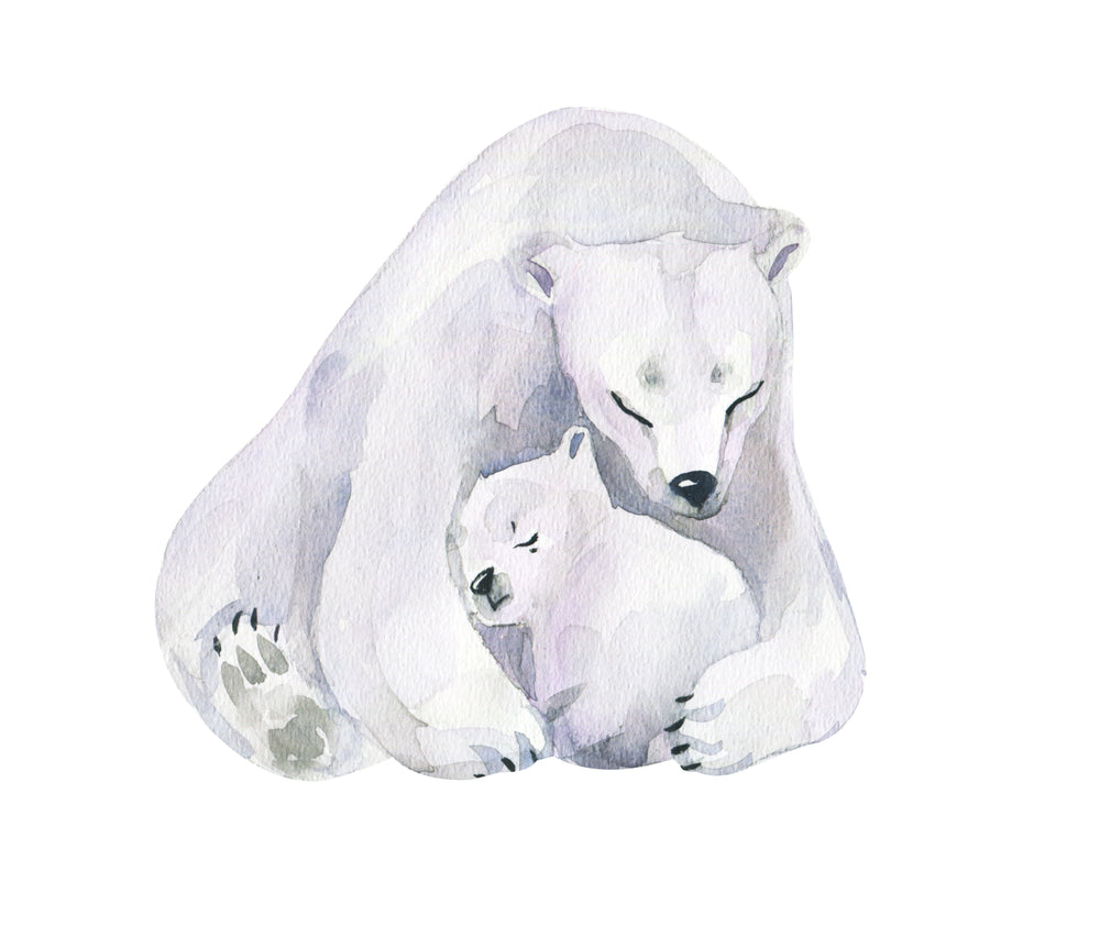 Square Canvas Polar Bear & Baby B&W Drawing High Quality Print 100% Australian Made