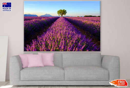 Lavender Field Scenery Photograph Print 100% Australian Made