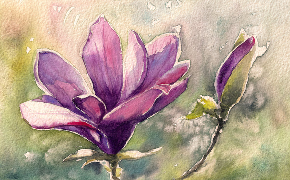 Magnolia Flower Watercolor Painting Print 100% Australian Made