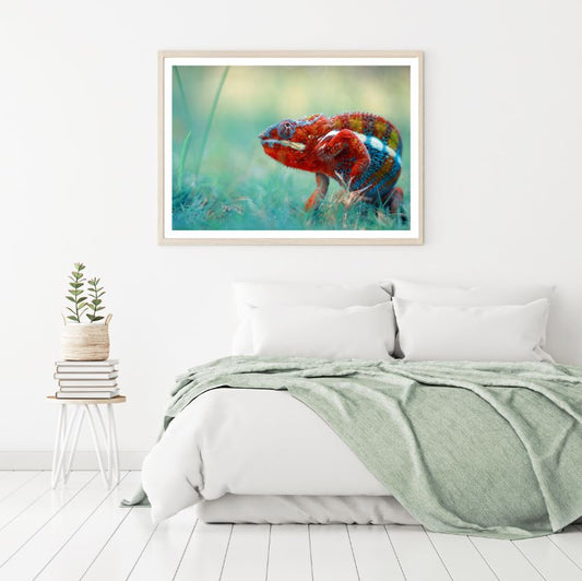 Colorful Chameleon Photograph Home Decor Premium Quality Poster Print Choose Your Sizes