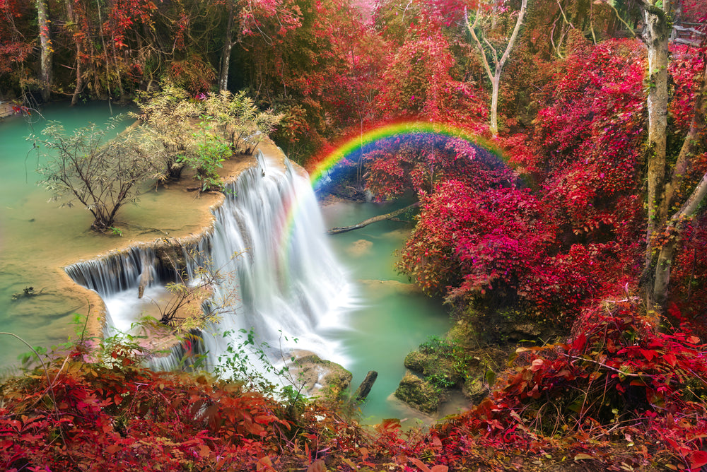 Stunning Waterfall With Red Leafy Trees & Rainbow Photograph Print 100% Australian Made Print 100% Australian Made